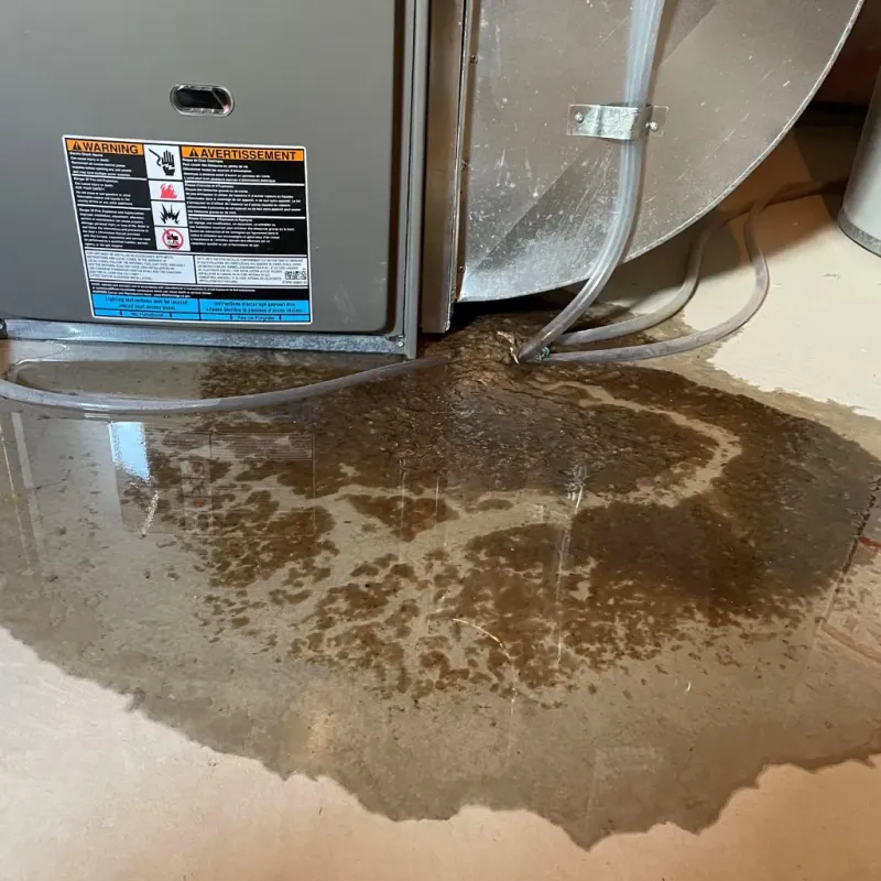 Appliance Leak Cleanup in Portageville, MO