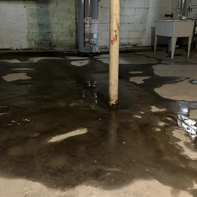 Emergency Water Extraction And Removal in Portageville, MO
